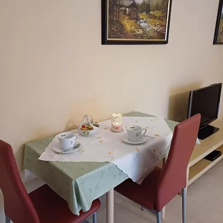 Thueringer Appartement Suhl