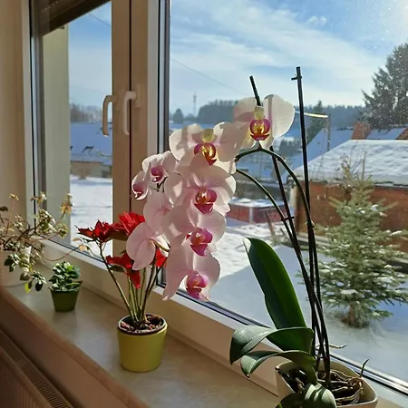 Appartement Thueringer